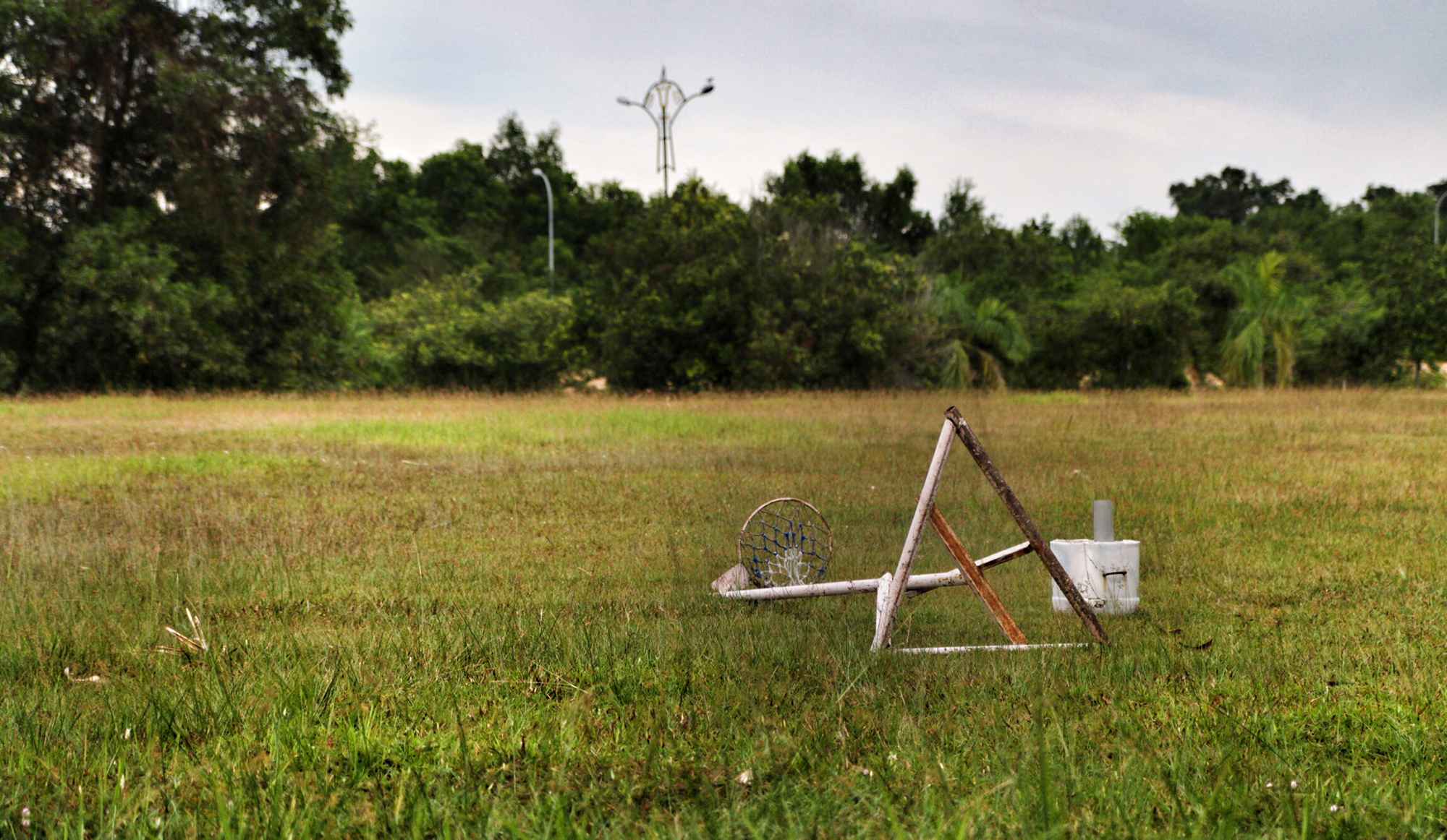 abandoned field